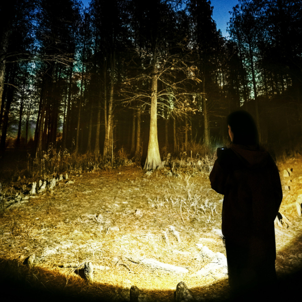 Ліхтар прожектор Naturehike CNK2300012, коричневий - фото №9