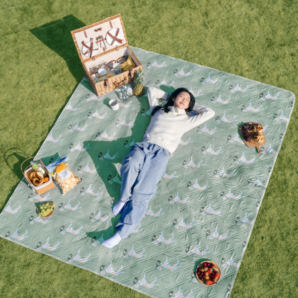 Килимок для пікніка Naturehike CNK2350WS010 210*240 см, блакитний із принтом - фото №6