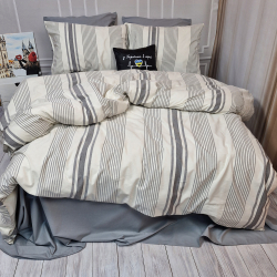 Постільна білизна NOSTALGIC stripe Тенсел/Ранфорс MERISET - Сімейний