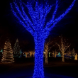 Гірлянда Різдвяна фея вулична 100 м 1000 LED білий провід Синій CF1000L100MWBL - фото №7