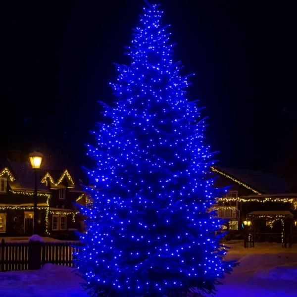 Гірлянда Різдвяна фея вулична 50 (м) 500 LED чорний провід Синій CF500L50MBBL - фото №7