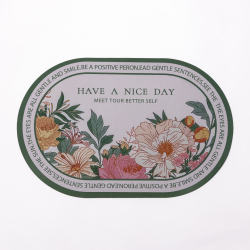 Діатомітовий овальний килимок Have A Nice Day 38×58 (см) вологопоглинальнючий HP-42-59