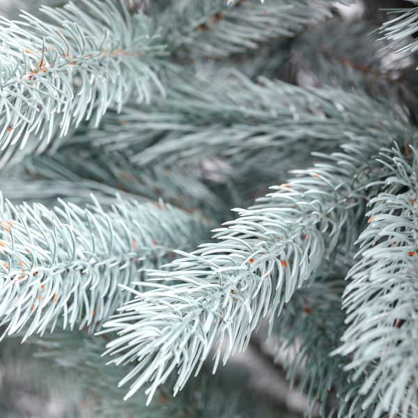 Ялинка штучна 1.8 м Говерла блакитна - фото №2