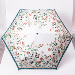 Парасолька механічна елегантна з принтом міцна надійна з поліестеру діаметр 99 см Зелений HP-23-15GR